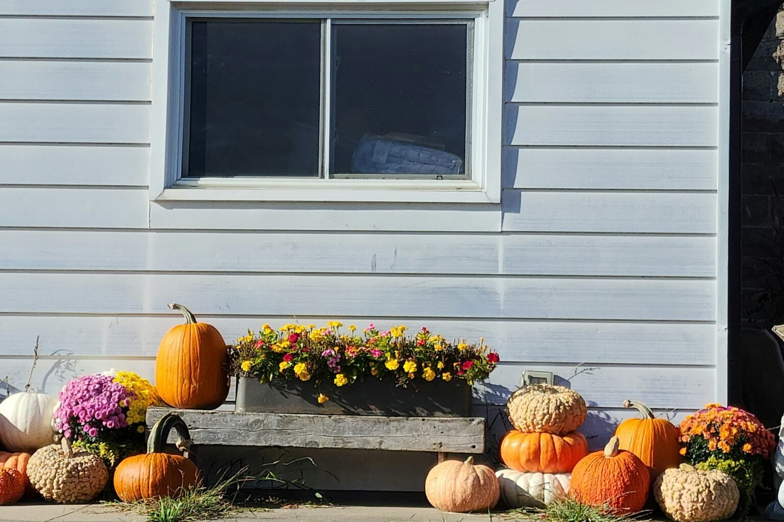 Fake fall flowers for porch decor: yellow and pink blooms in a long planter with pumpkins