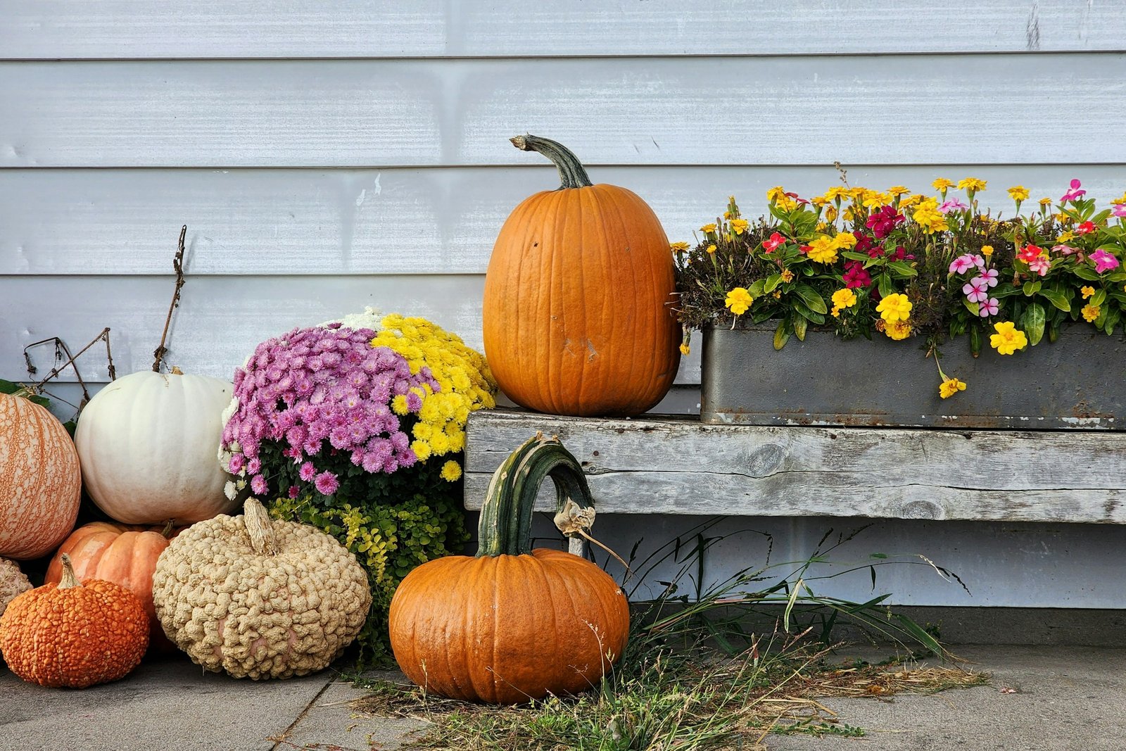 Artificial fall flowers idea: yellow and pink blooms in a planter on a porch bench with pumpkins