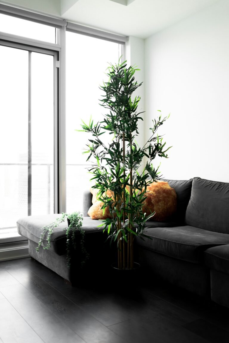 Living room corner styled with a tall artificial olive tree look