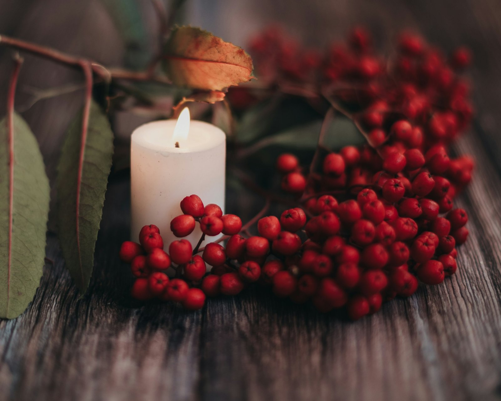 Christmas scented candles styled with red winter berries and leaves on a rustic wood table