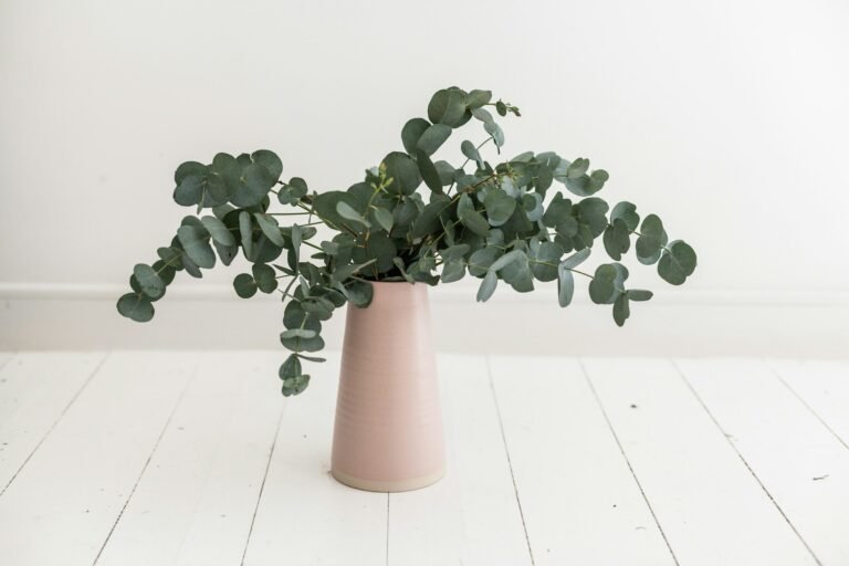 Fake eucalyptus plant look: sage green eucalyptus stems in a blush pot on a white wood floor