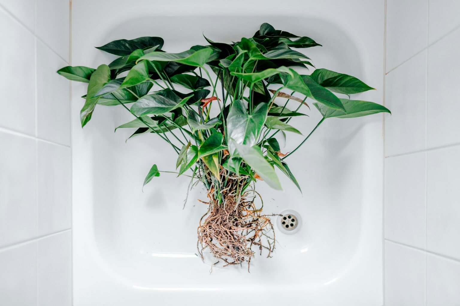Fake hanging plant idea: greenery in a bright bathroom
