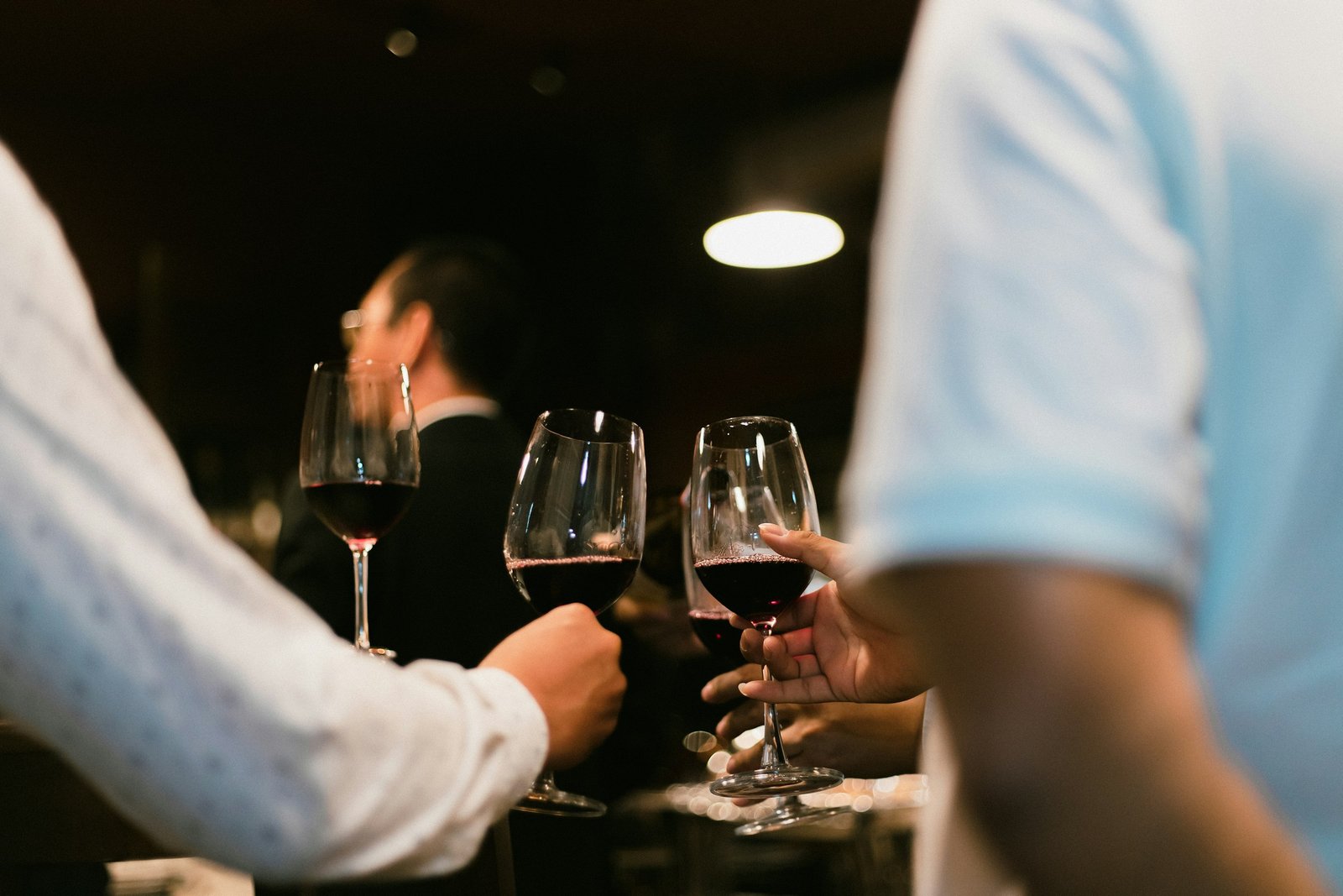 Gifts for wine lovers: friends raising glasses of red wine at a holiday gathering