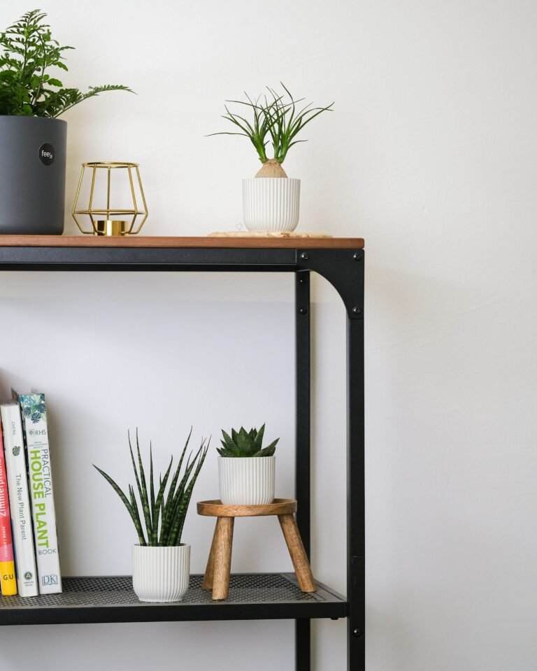 Shelf with plants, a grow light plant stand styling idea