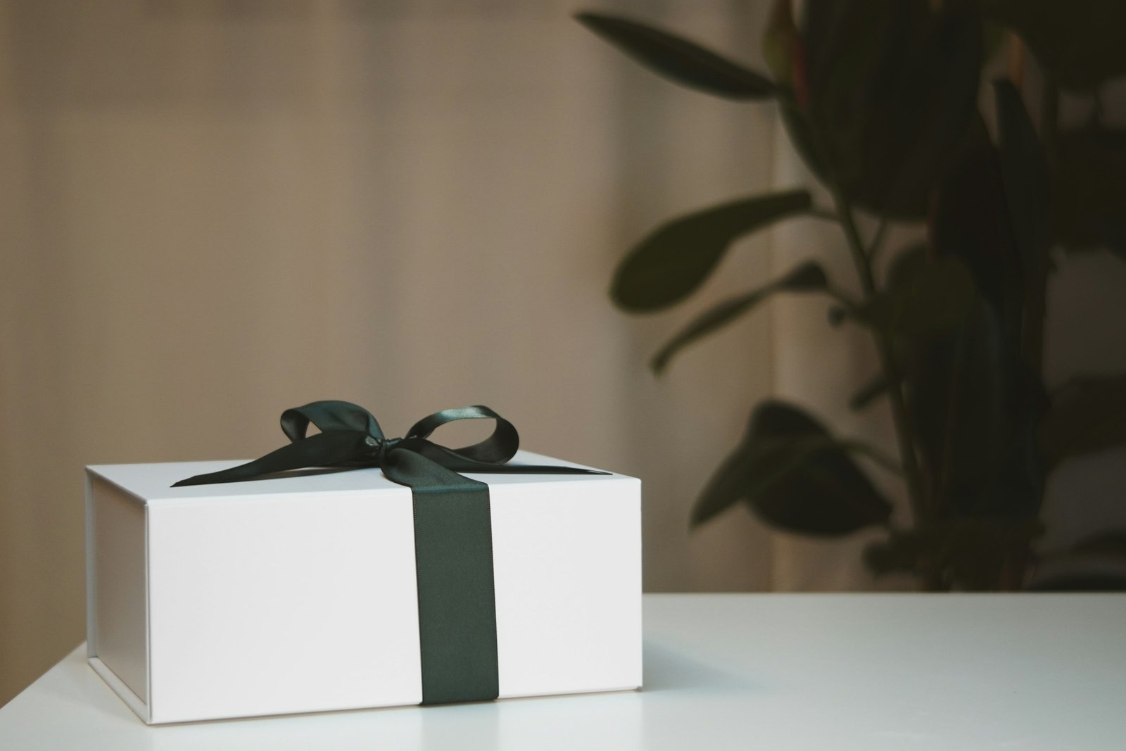 Housewarming gifts for new homeowners: white gift box with a dark green ribbon next to a houseplant