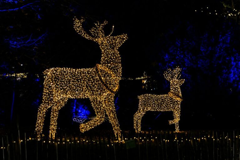 Two gold lighted Christmas reindeer glowing outside at night, a buck and a fawn