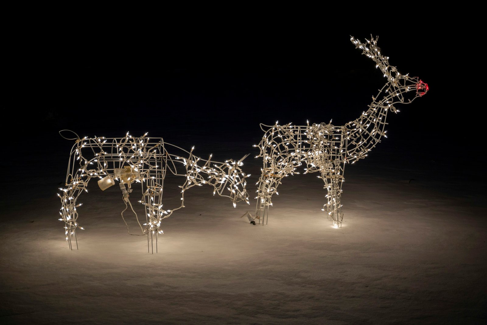 White wire lighted Christmas reindeer standing and grazing on a snowy lawn at night