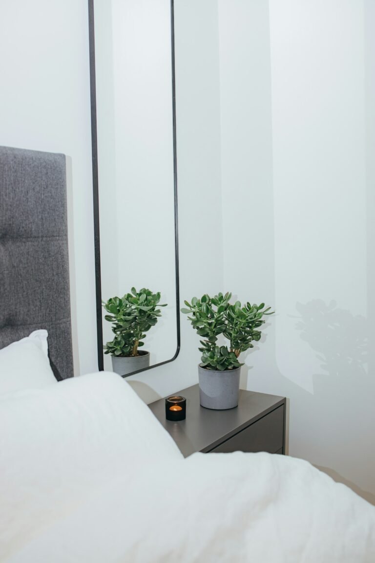 Oversized floor mirror idea in a bedroom with a plant