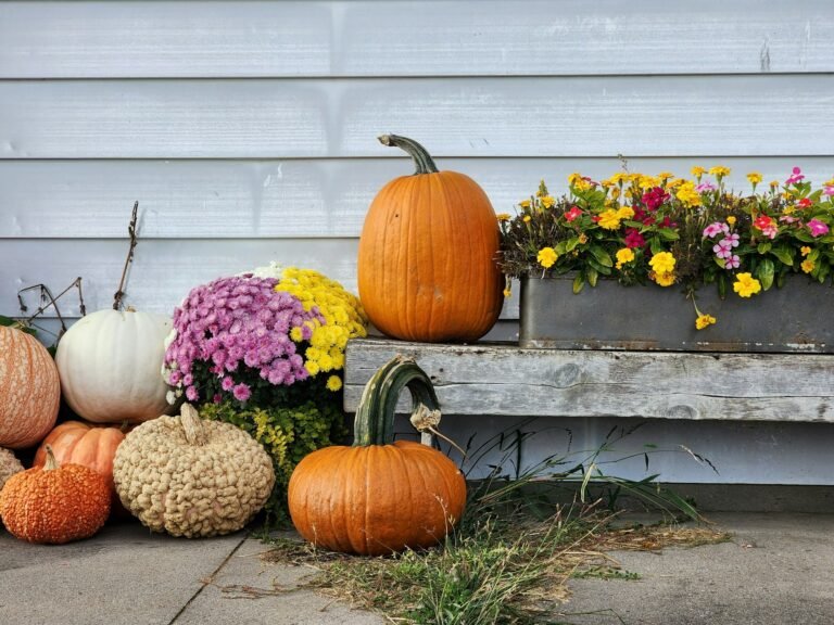 Pumpkins and mums on a porch