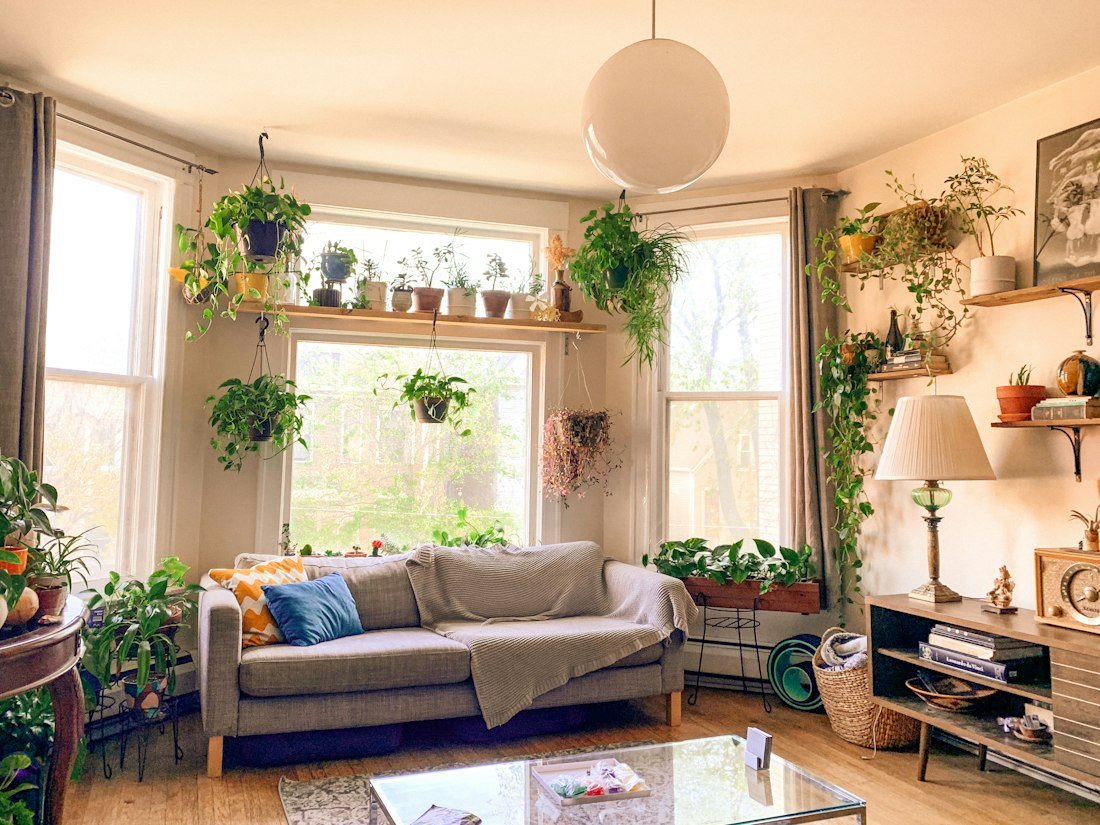 Bright living room with plants