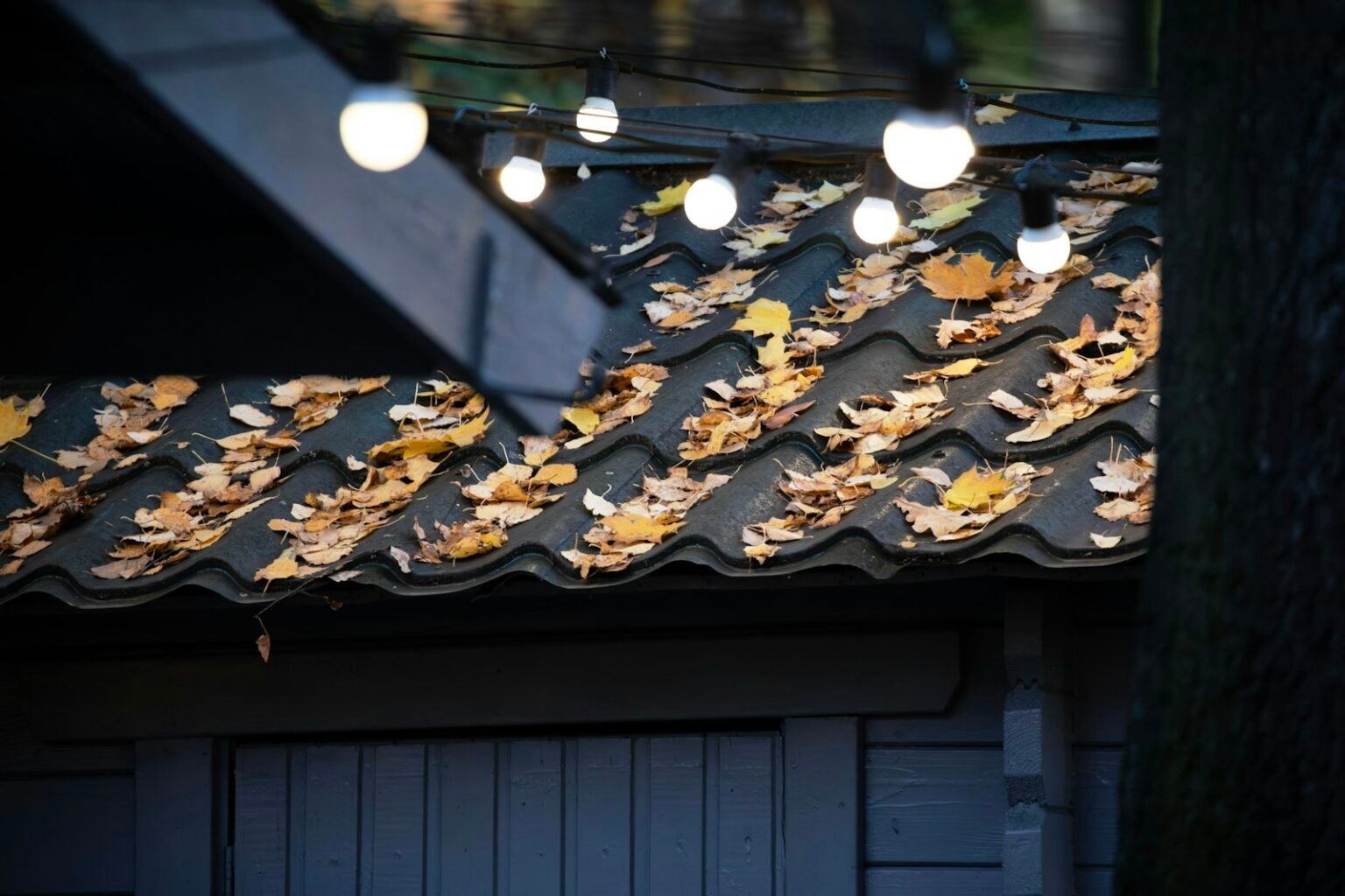 Autumn leaves covering a dark roof