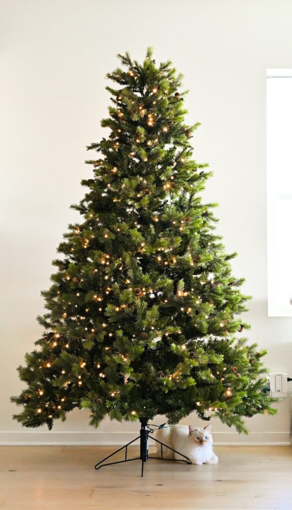 Small Christmas tree with lights in a room
