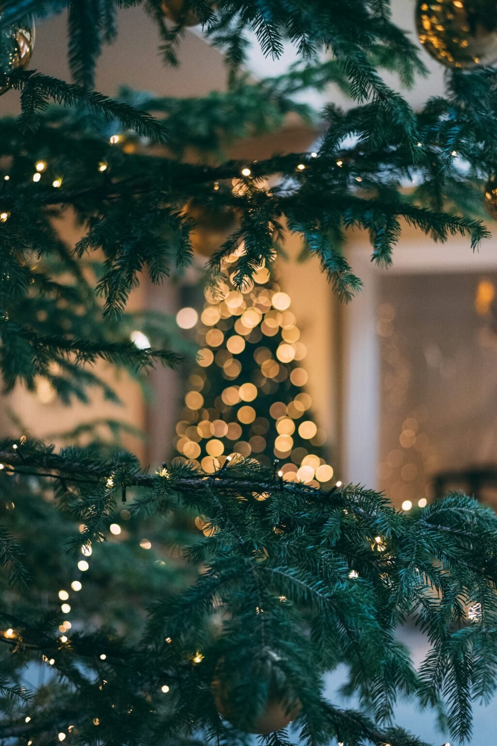How many lights for a Christmas tree – Christmas tree glowing with string lights