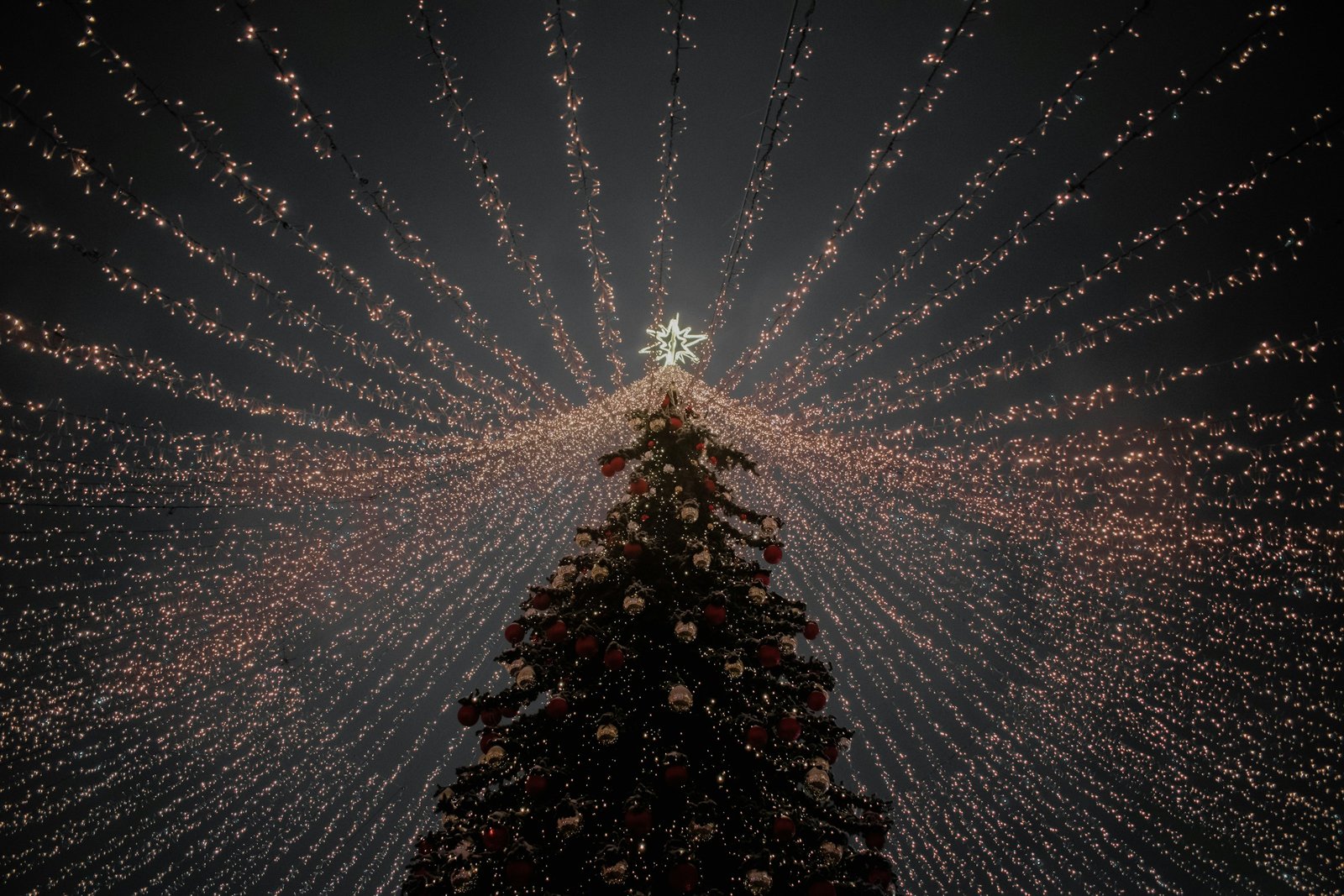 Large Christmas tree lit up with lights