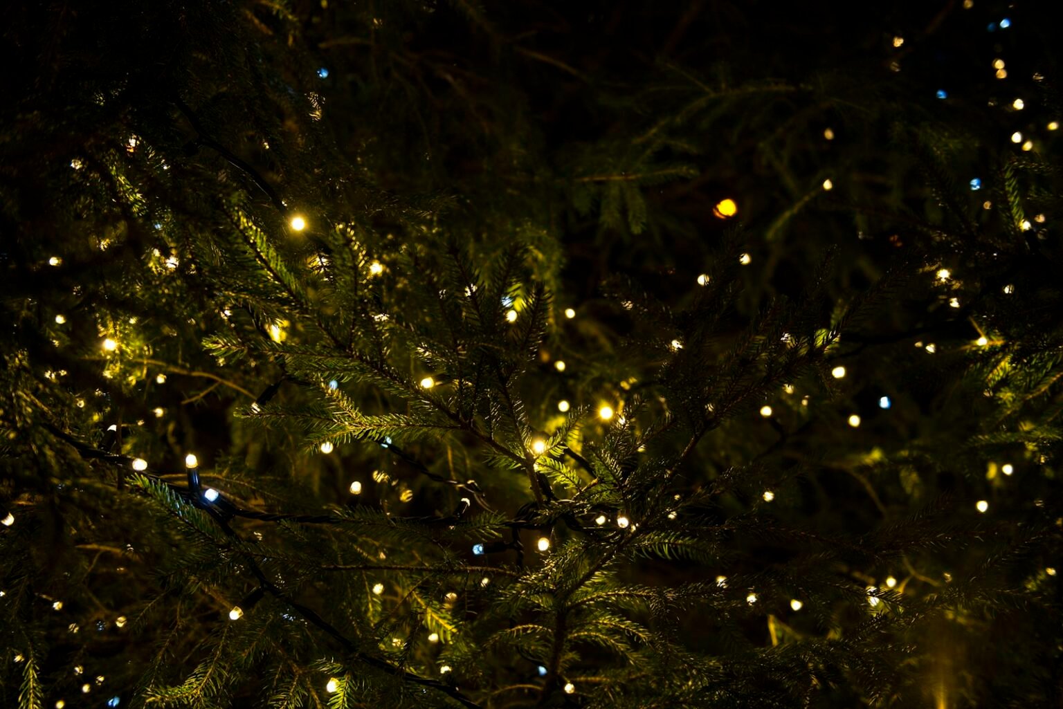 How to put lights on a Christmas tree – Green tree with warm yellow lights