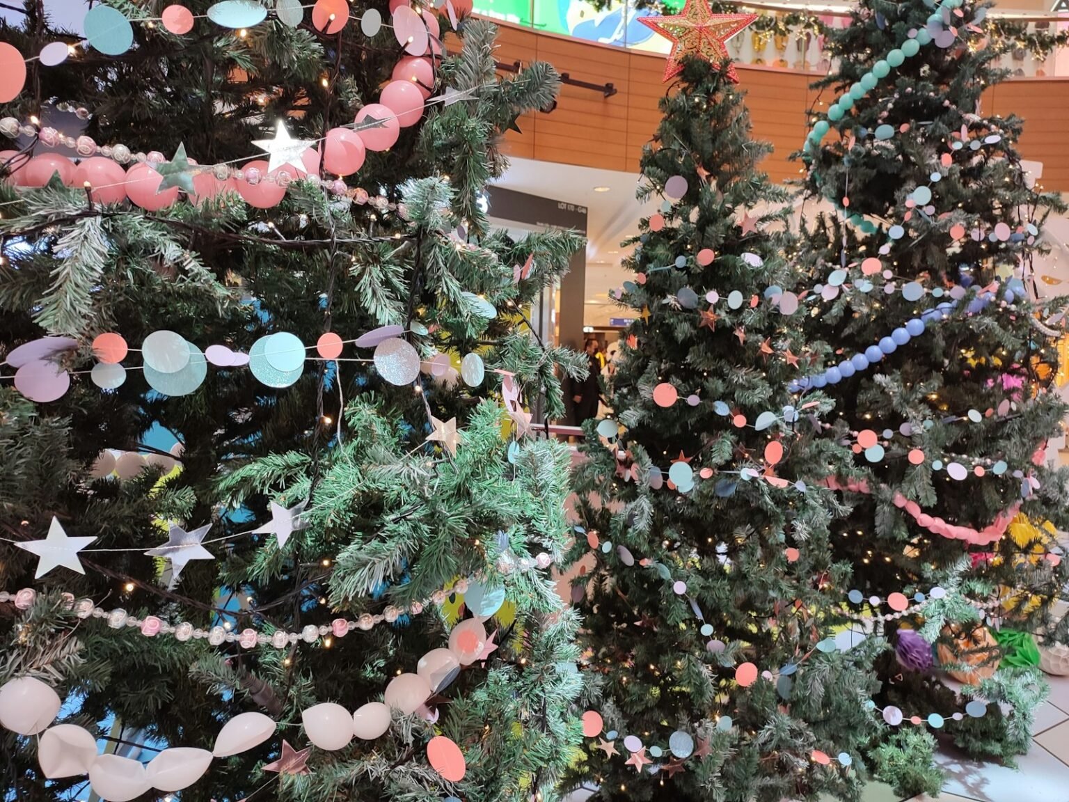 Christmas trees for sale in a store
