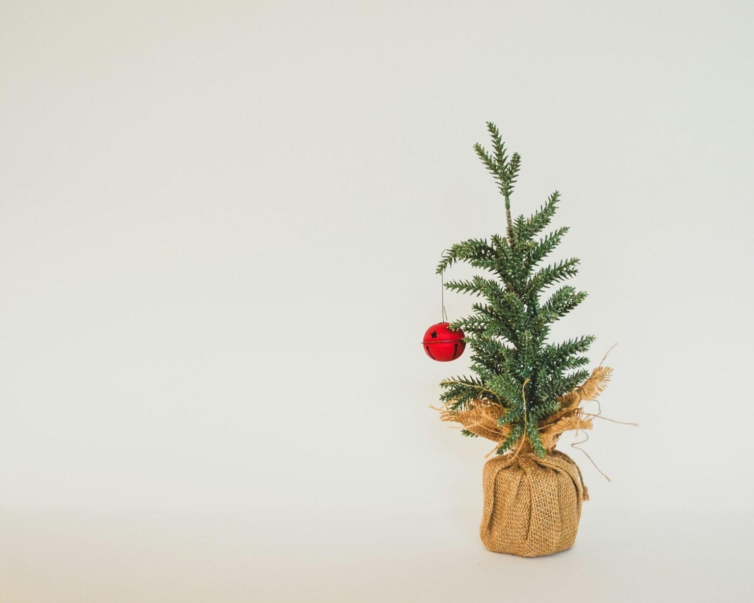 Small Christmas tree with a red ornament