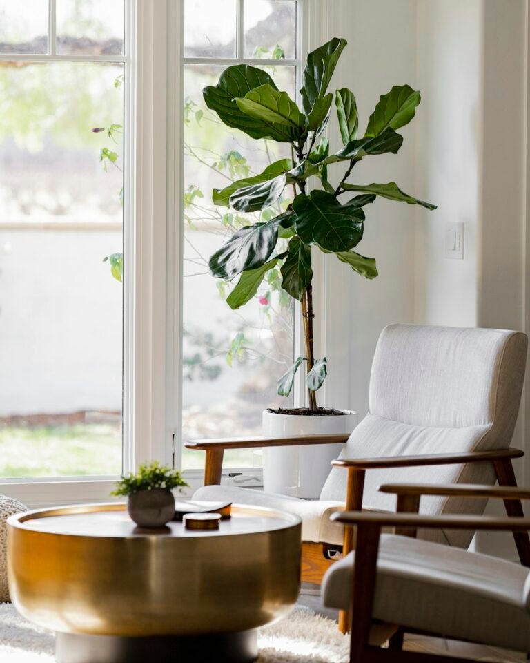 Living room with plants