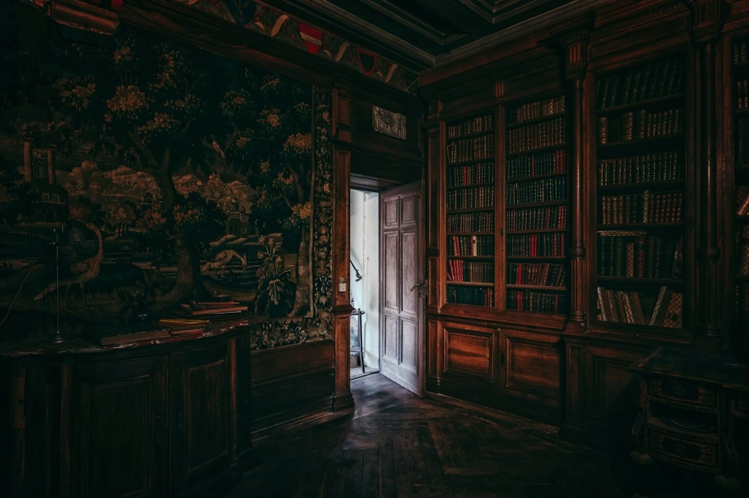 Dark wood room with a bookshelf