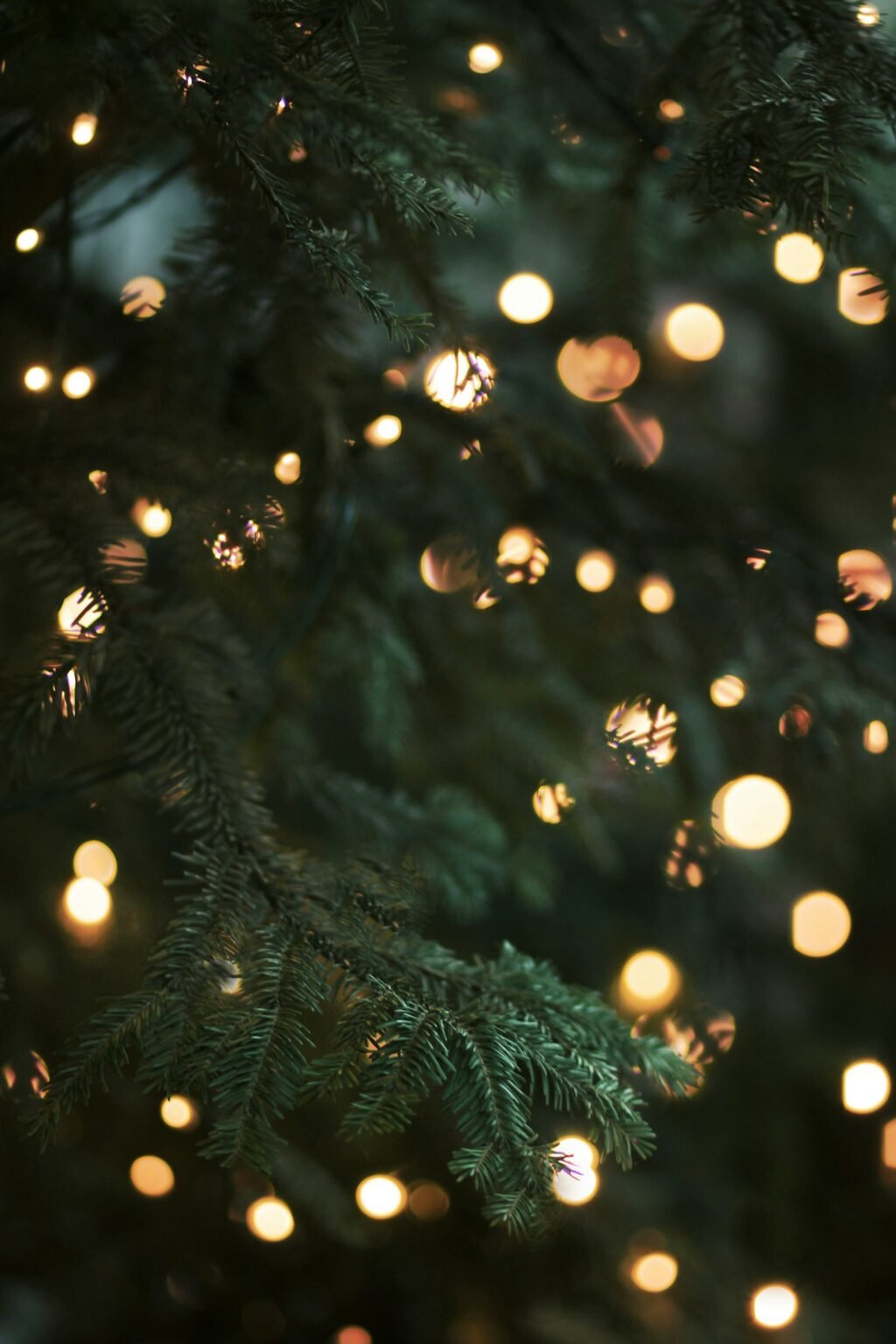 Christmas tree with warm string lights